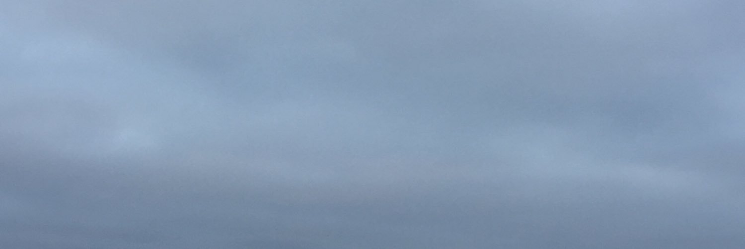 lilzariya's profile banner image