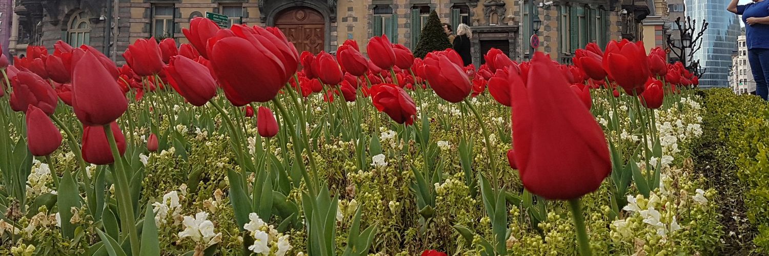 Ruben Galassi banner