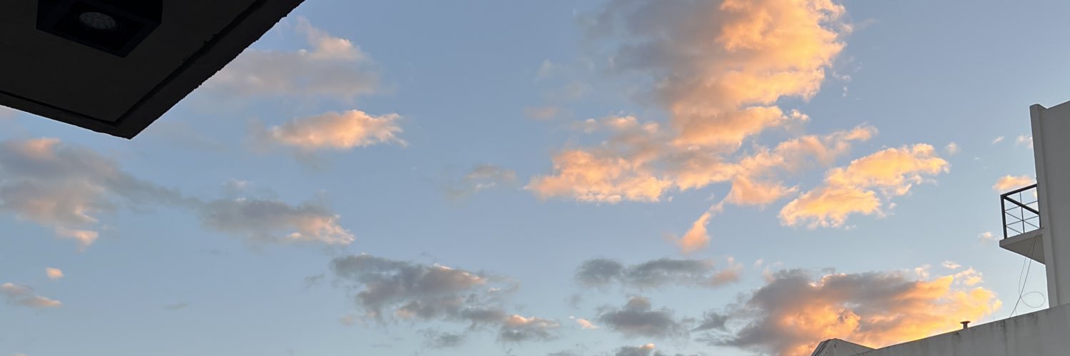 francoleandro3's profile banner image
