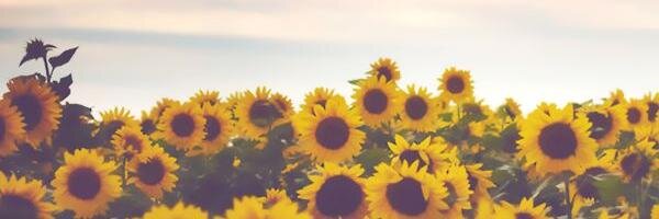 DeeTheNiglet's profile banner image