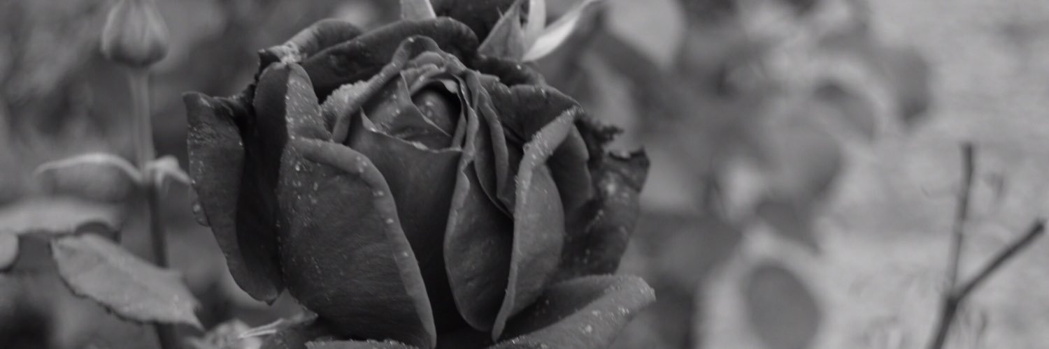 NatalieReid55's profile banner image