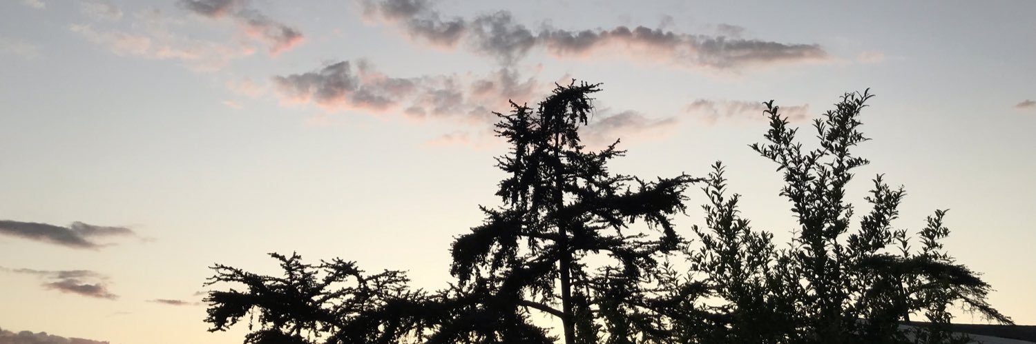 madeline_b02's profile banner image