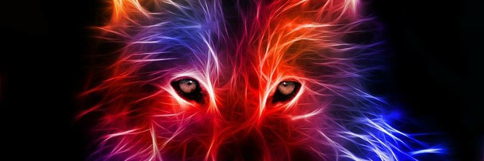 fernandomadriz2's profile banner image
