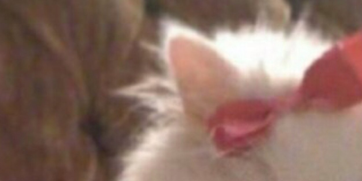 AbdullahManal's profile banner image