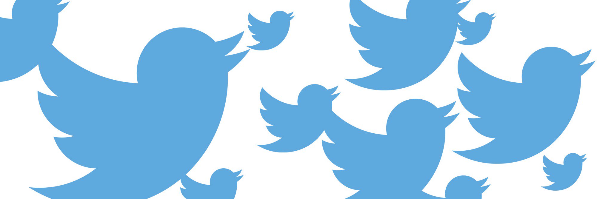 TweetedPollz's profile banner image