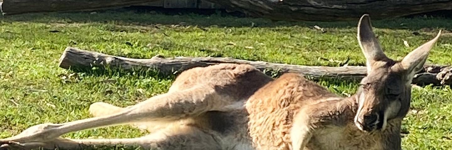 aaacuff's profile banner image