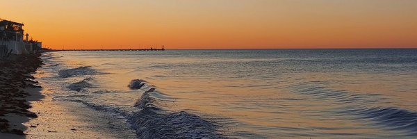 fferp24 Profile Banner
