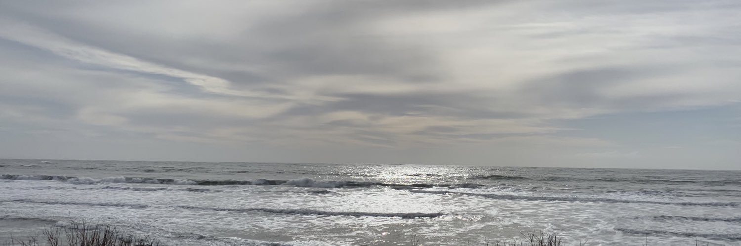 rapillard's profile banner image