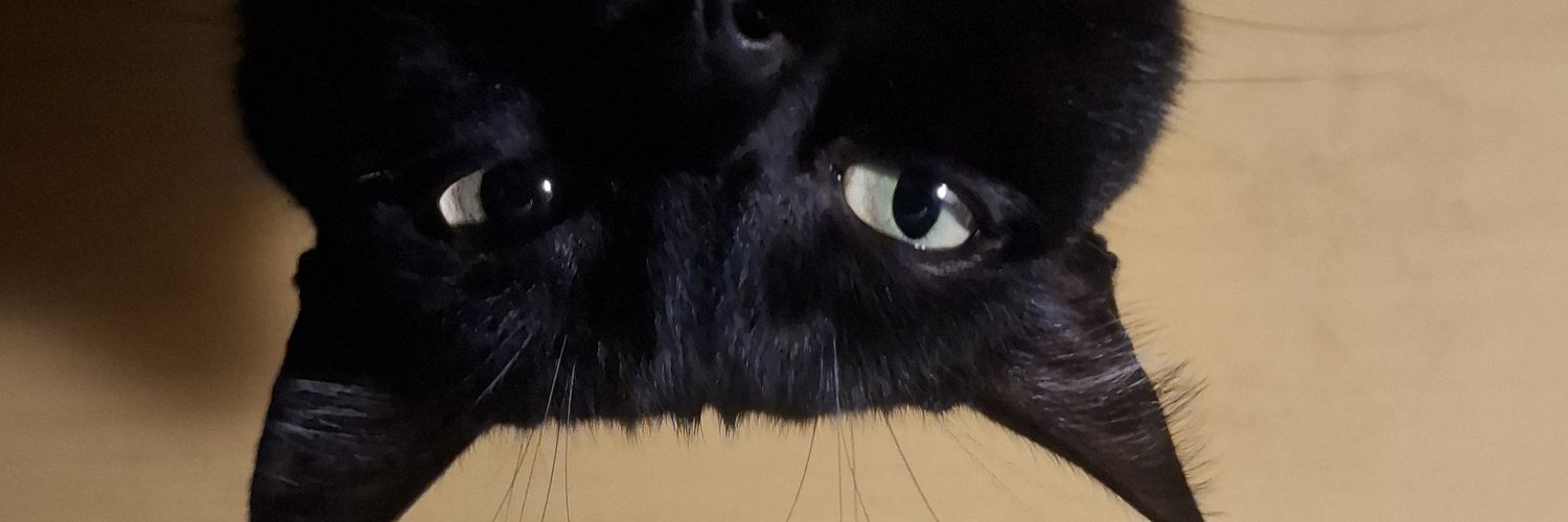 letuciiaa's profile banner image