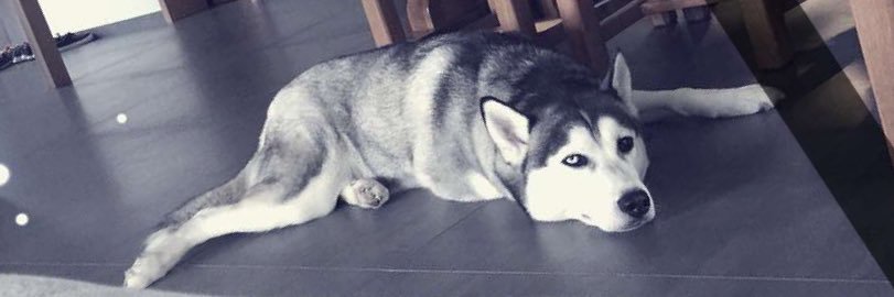 Thiboghd's profile banner image