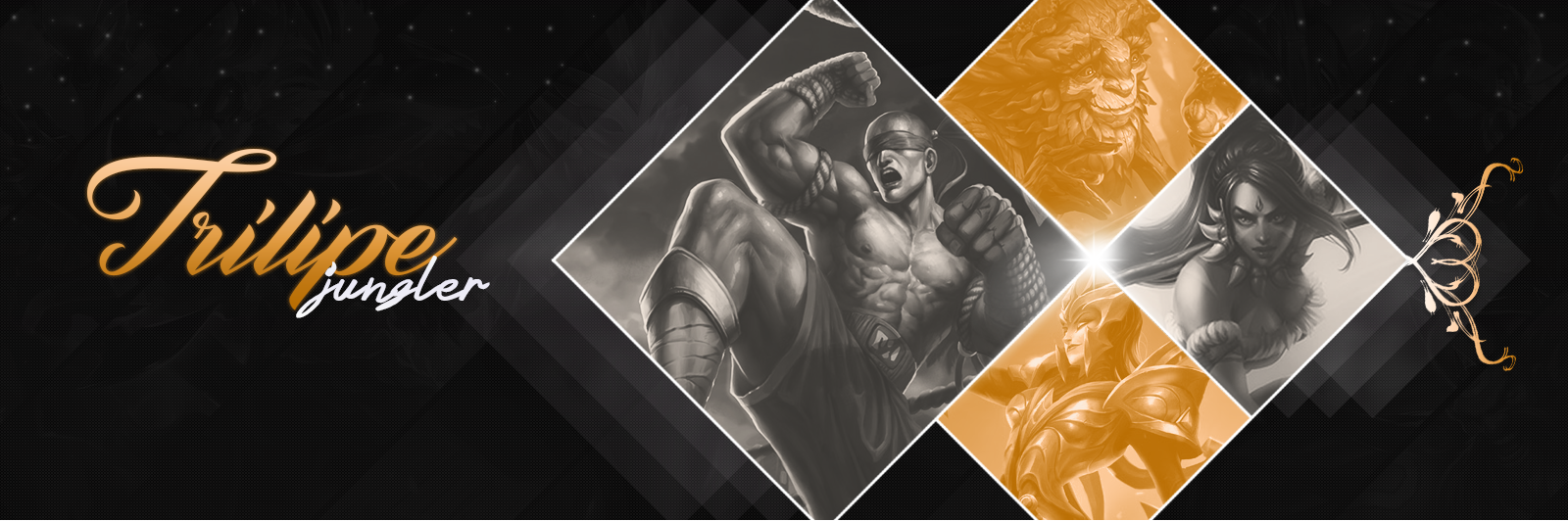 trilipey's profile banner image