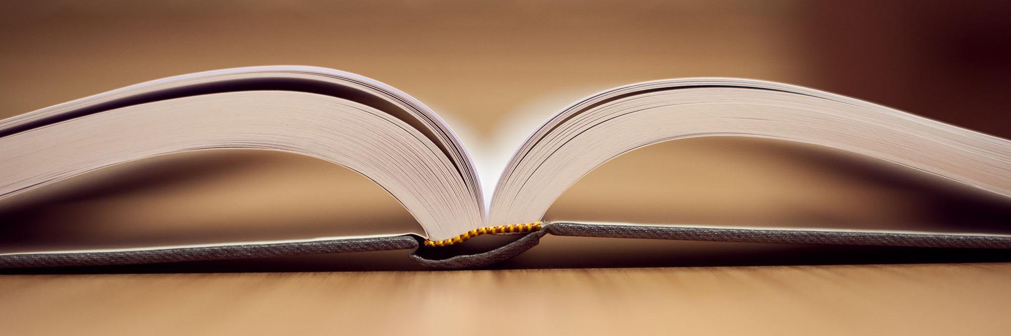UVic_PhD's profile banner image