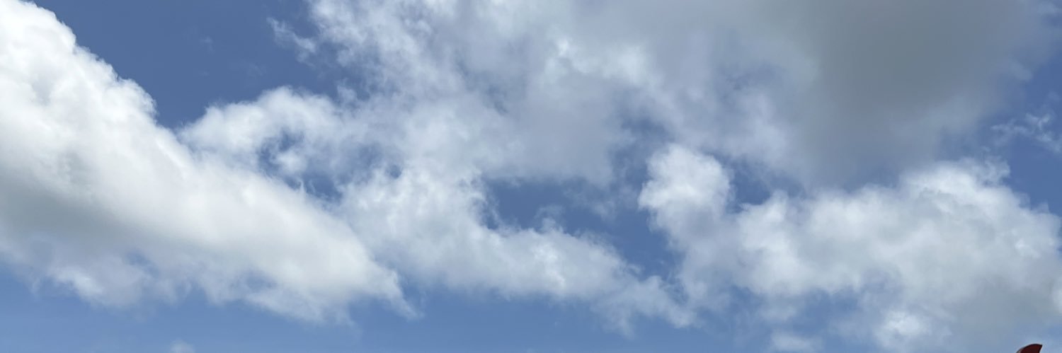 eliantuwan's profile banner image