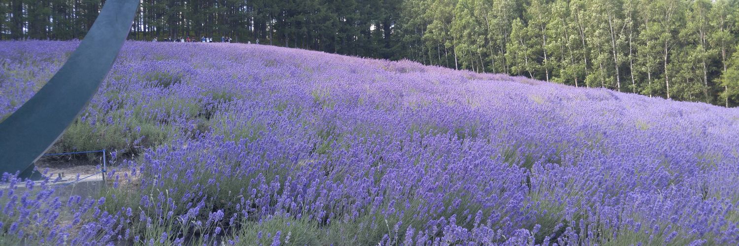 218gdb's profile banner image