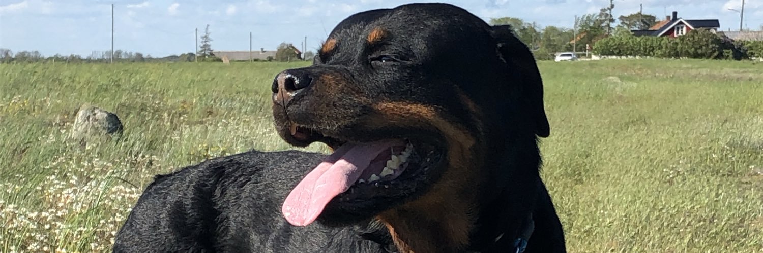 DJohannisson's profile banner image