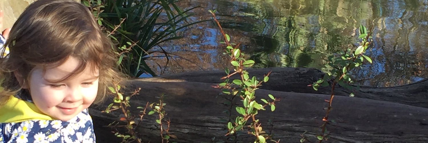 lisam1710's profile banner image