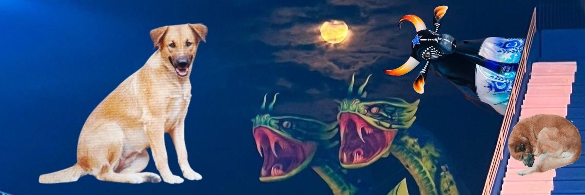 KeyceCampos's profile banner image