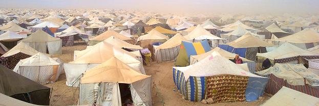 WSahara1's profile banner image