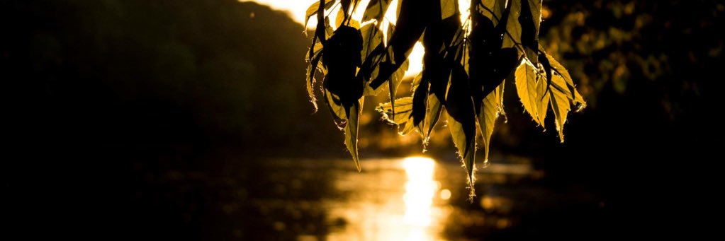 masen_quist's profile banner image