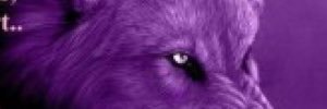 VampireCaswell's profile banner image