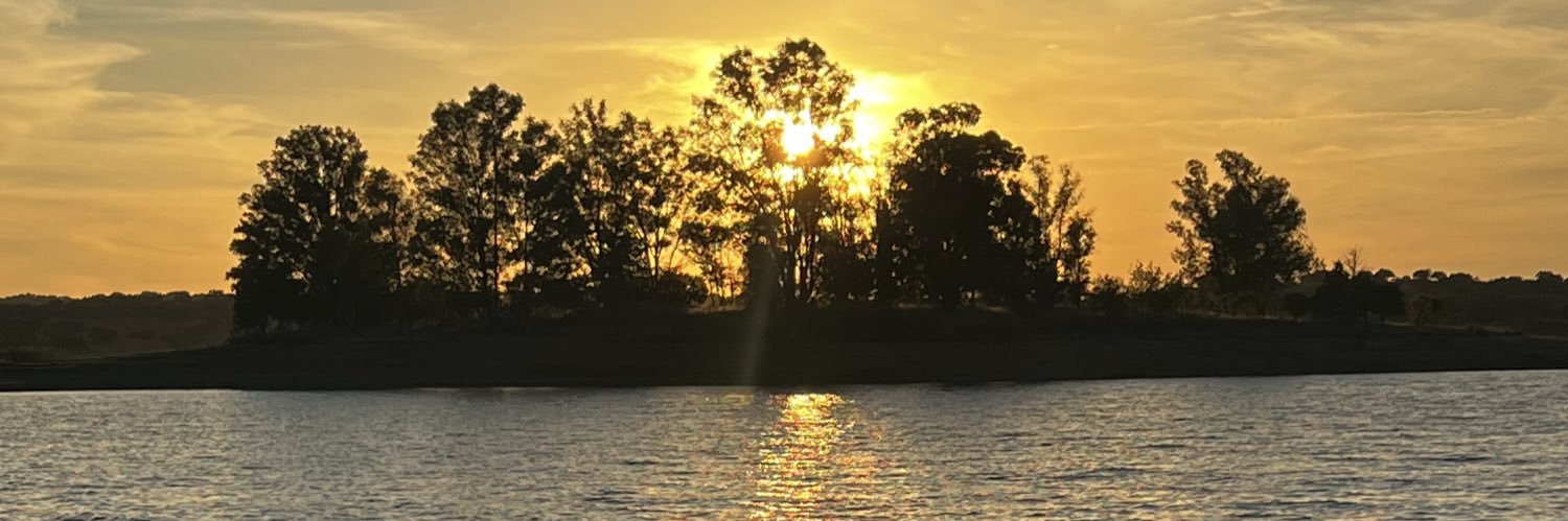 FelipedeSande's profile banner image