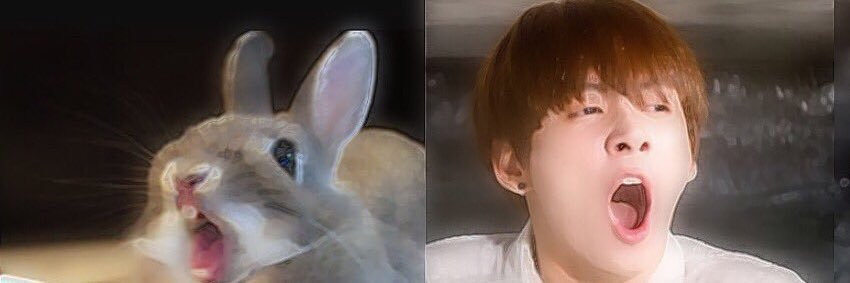 rabbit___09's profile banner image