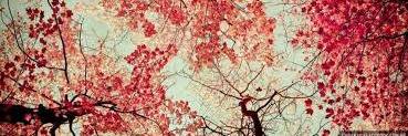 Becca_Manenti's profile banner image