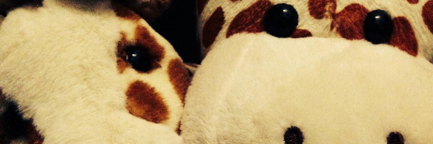 koichil_red's profile banner image