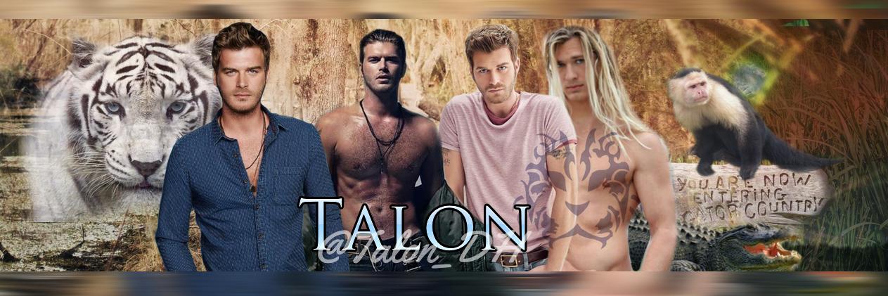 Talon_DH's profile banner image