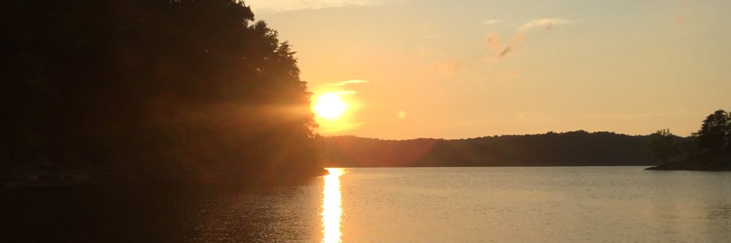 cringeygingie's profile banner image