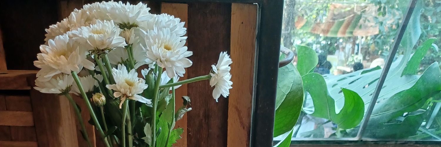 3swtp's profile banner image
