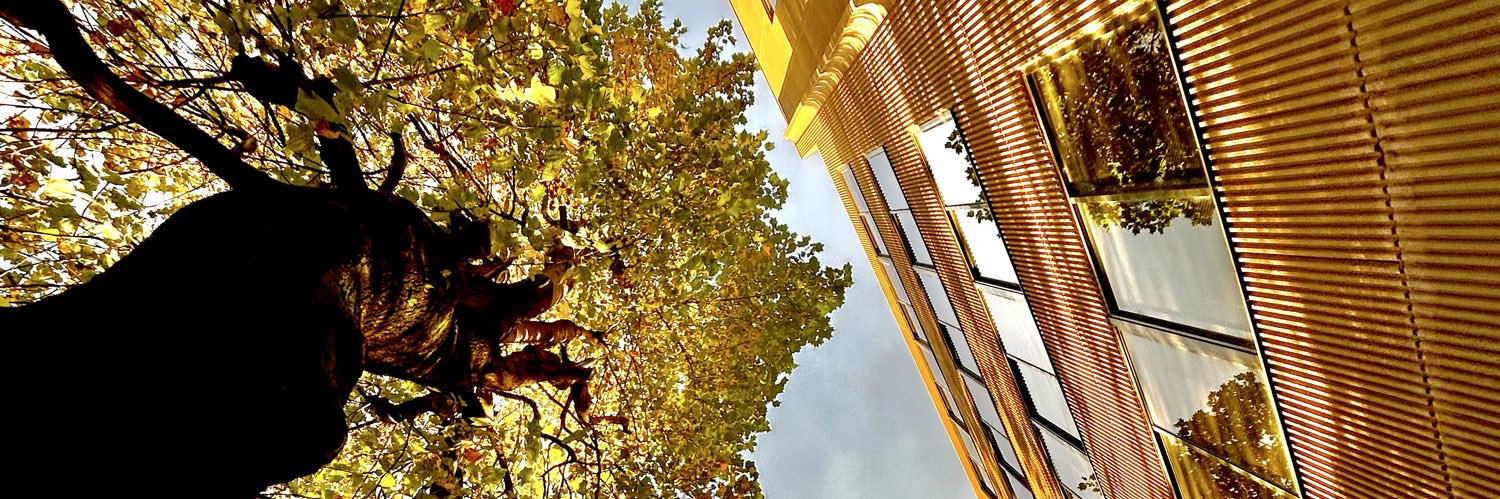 ✨ゆったりんこ✨ banner