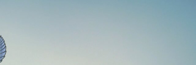 fofoo_774's profile banner image