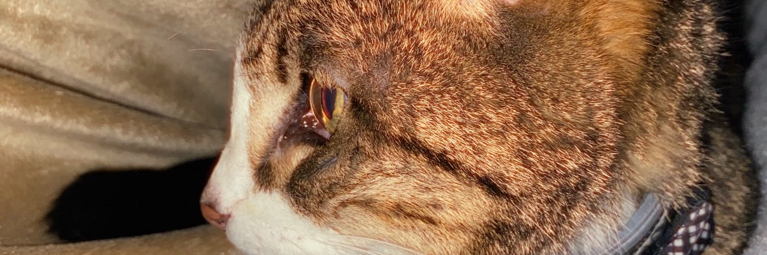 beaverandy24's profile banner image