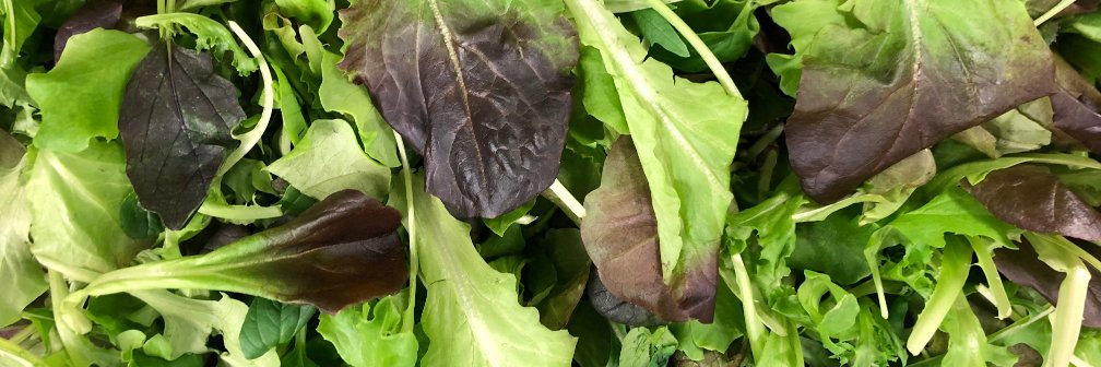 NutritionWSD's profile banner image