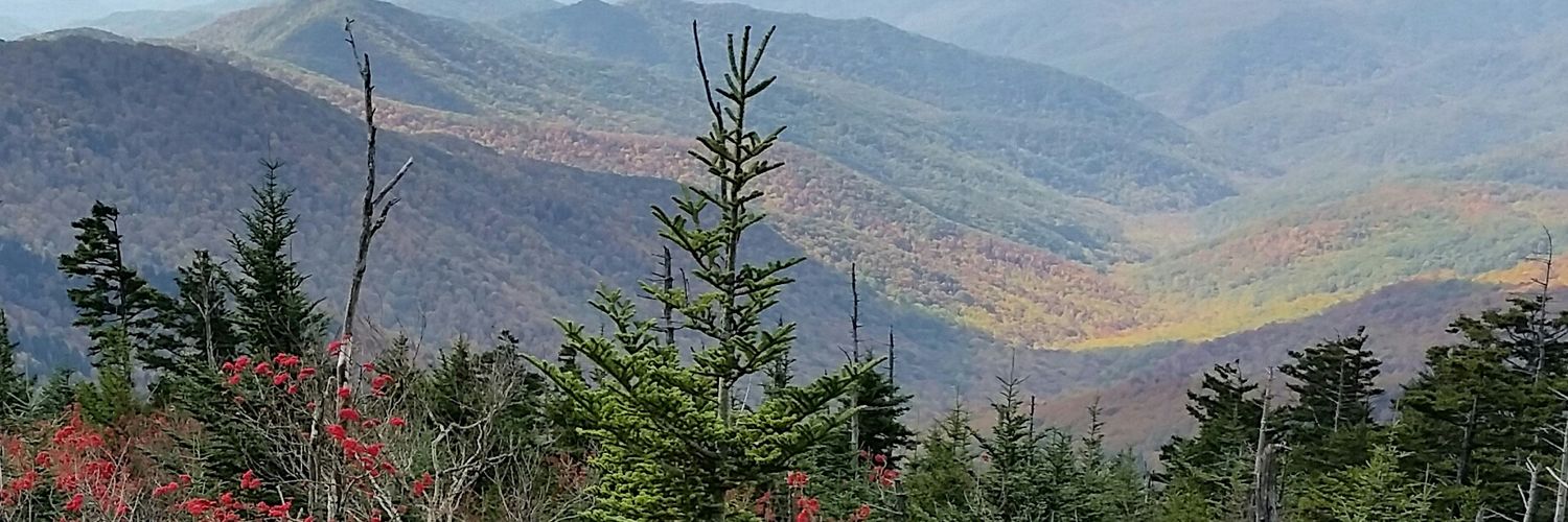 LeeAnnSCKBMC's profile banner image