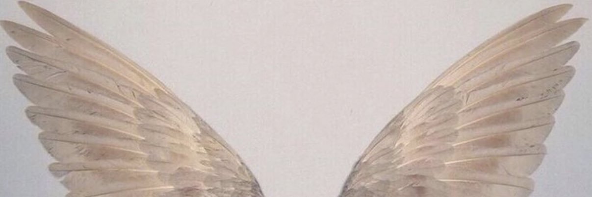r25alk's profile banner image