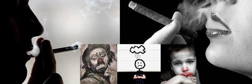 ali_omidvar's profile banner image