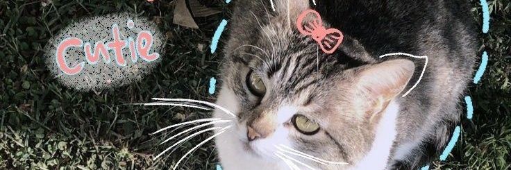 Kanzia ❖𝒮𝓀 banner
