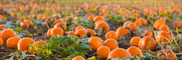 4DegsC Profile Banner