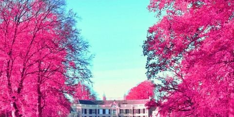 kgaday's profile banner image
