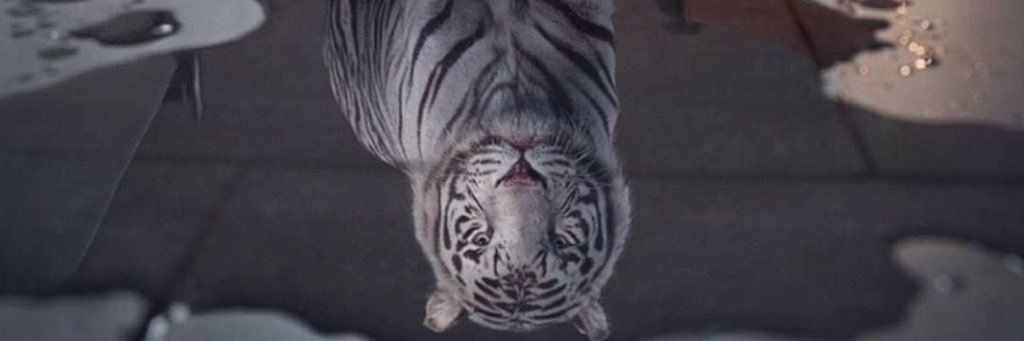 GODPLAY5's profile banner image