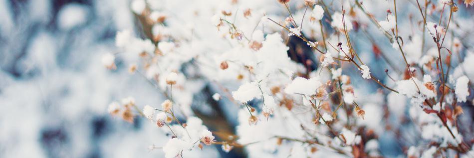 carla_celda's profile banner image