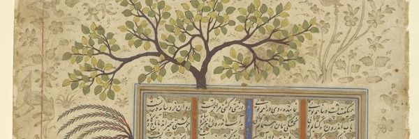 RORVK Profile Banner