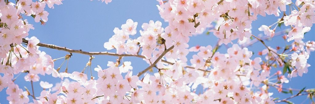 christstyles's profile banner image