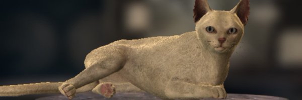 hannanbu Profile Banner