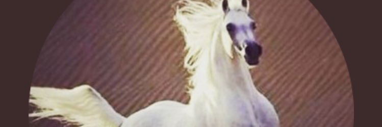 sameer141414's profile banner image