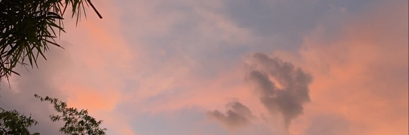 marigold_PP's profile banner image