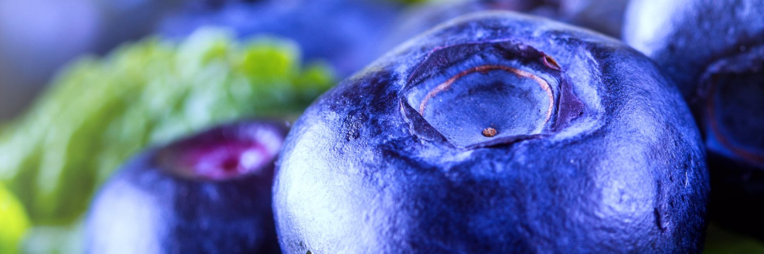 IBOBlueberry's profile banner image