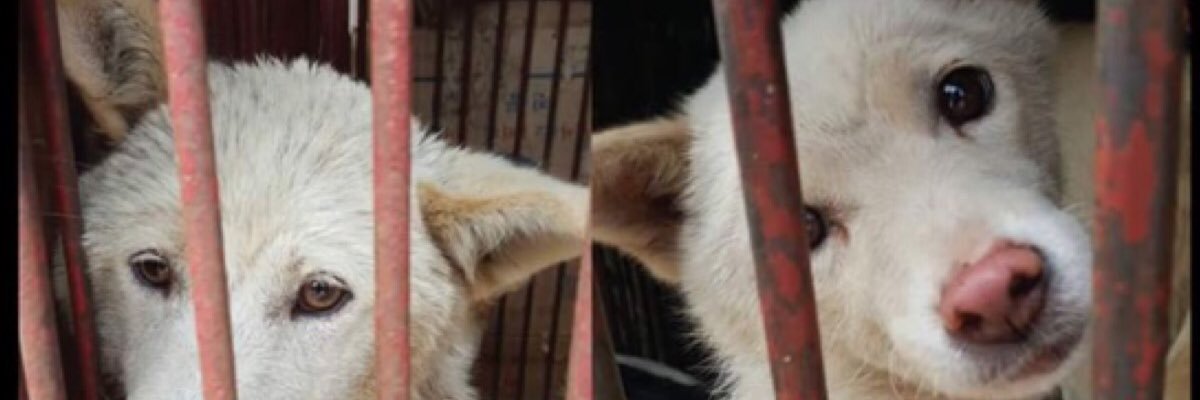 Hopeesperanz's profile banner image